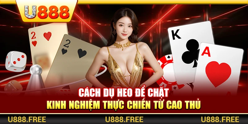 Cách Dụ Heo Để Chặt – Kinh Nghiệm Thực Chiến Từ Cao Thủ