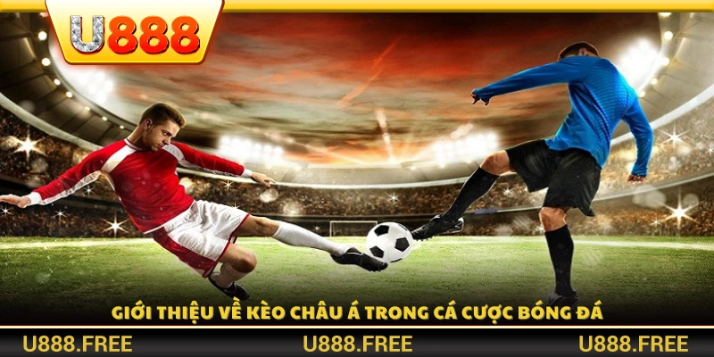 Giới thiệu hình thức cược kèo châu Á