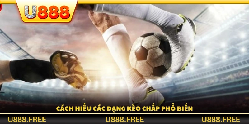 Giải thích ý nghĩa và cách đọc các loại kèo chấp