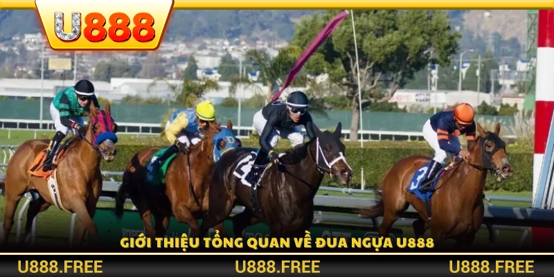 Khái quát chung về sảnh cược đua ngựa tại U888