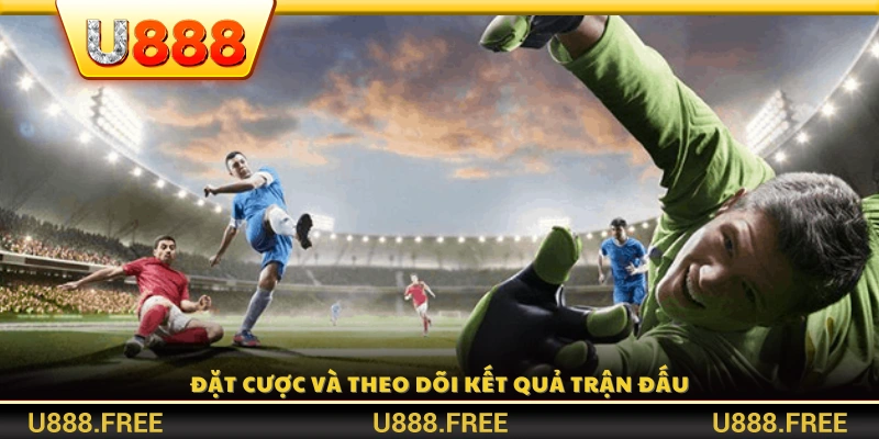 Thực hiện đặt cược và quan sát diễn biến trận đấu