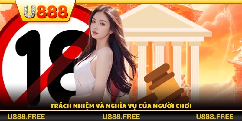 Nghĩa vụ của người chơi trong chính sách